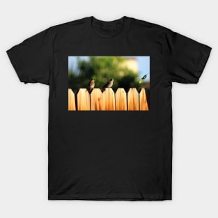 Sparrows on a Fence T-Shirt